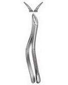 Tooth Extracting Forceps  